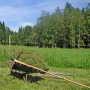 Schwedische Landschaft