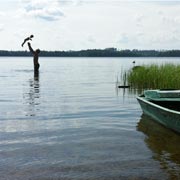 Kinder in Schweden